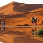 FB_IMG_1607420257086