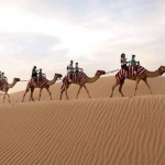 FB_IMG_1607455357600