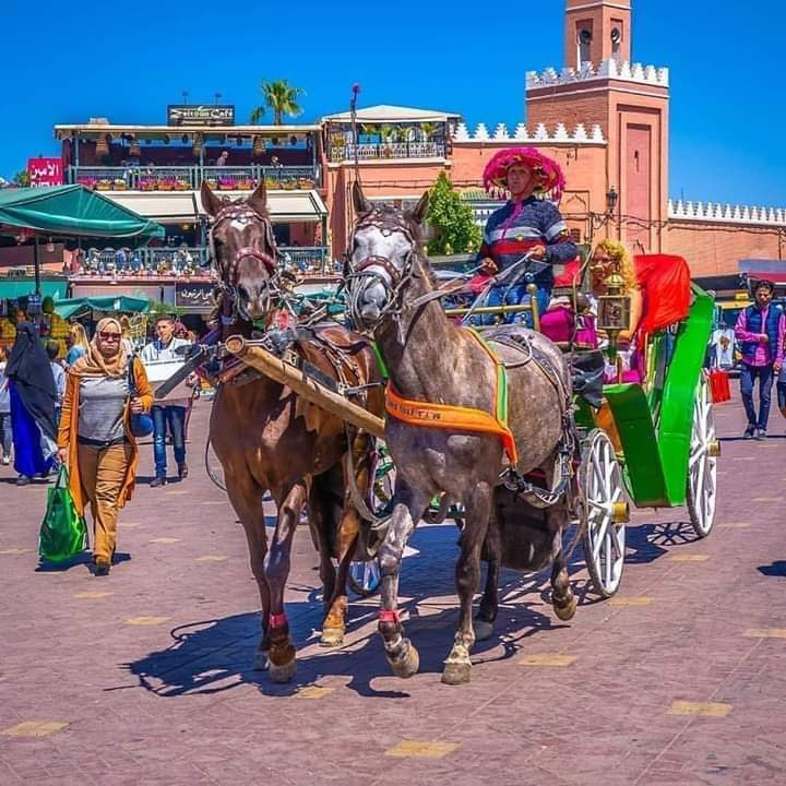 MARRAKECH